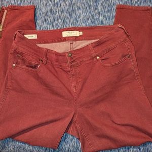 Torrid 18XT jegging